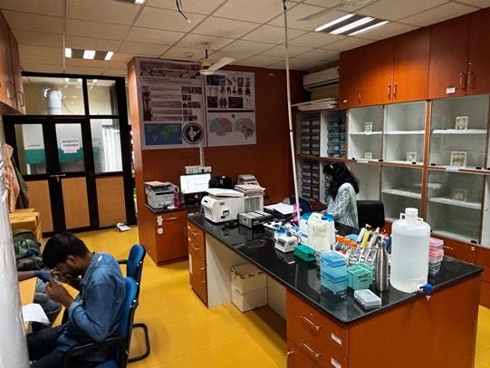 Brain Bank Research 11