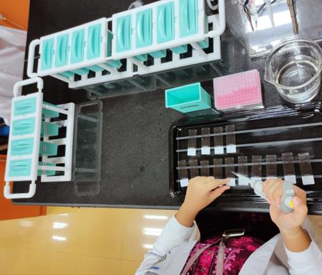 Laboratory — Photo 14