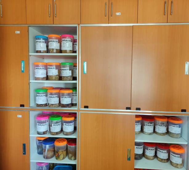 Tissue Storage Facility — Photo 17
