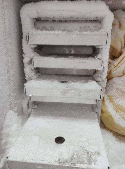 Tissue Storage Facility — Photo 20