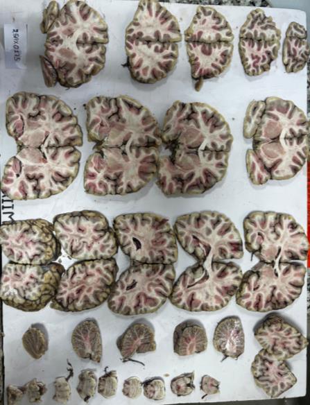Grossing Facility — Photo 34