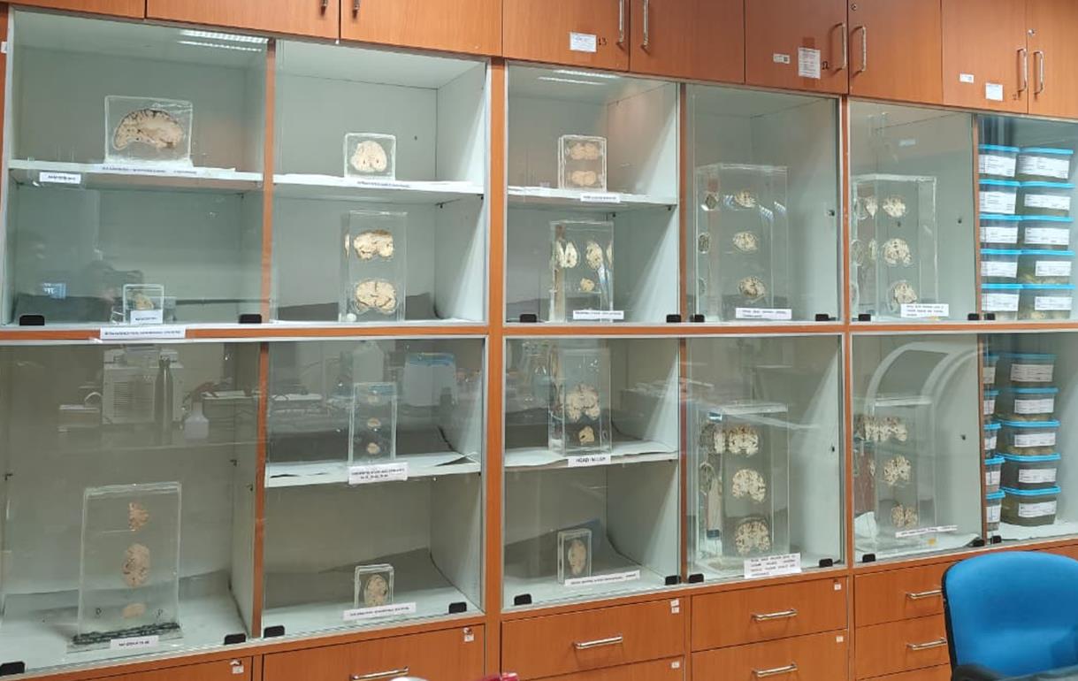 Brain Museum — Eastern India's First — Photo 46