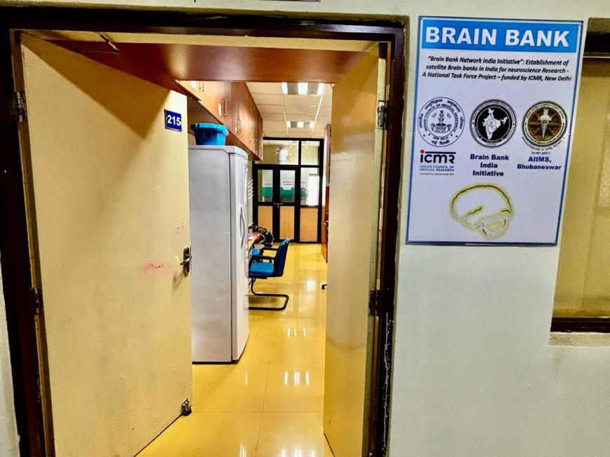 Brain Bank activity image 2