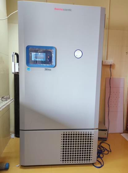 Brain Bank activity image 10