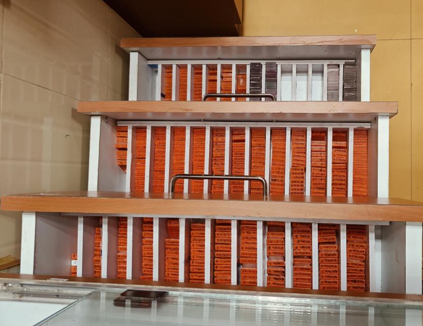 Brain Bank activity image 11