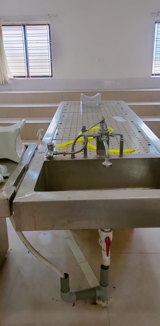 Brain Bank activity image 15