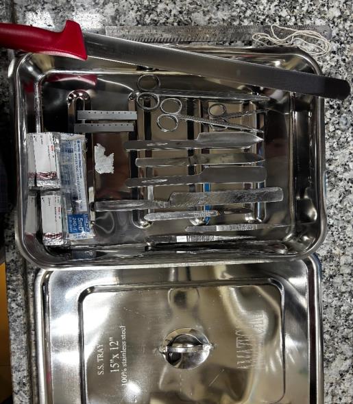 Brain Bank activity image 17