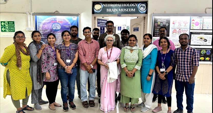 Brain Bank activity image 26