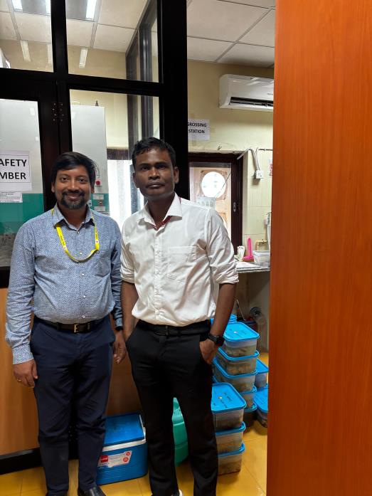 Brain Bank activity image 27